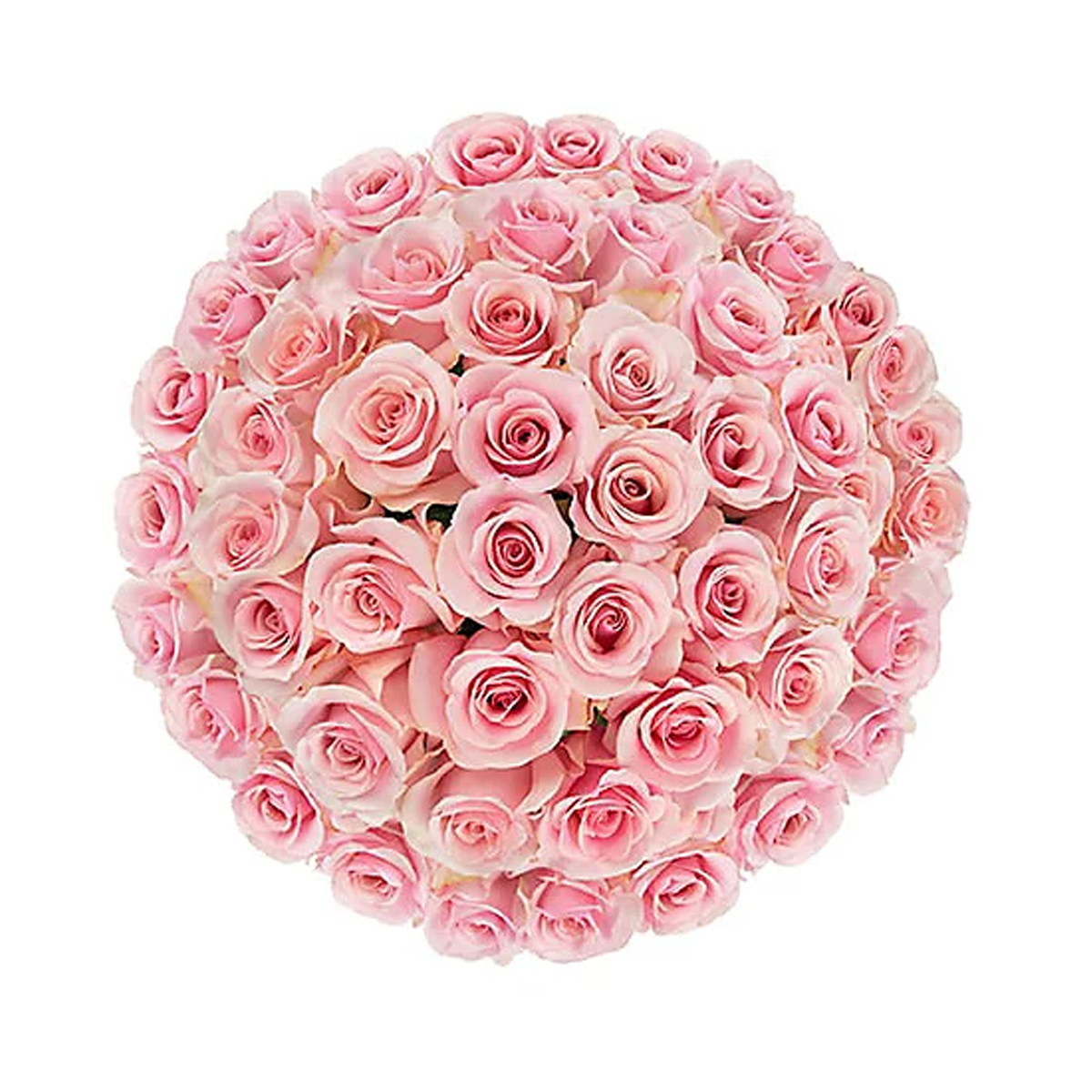 Duo-Tone Long Stem Rose Bouquet – Ramo Buchón