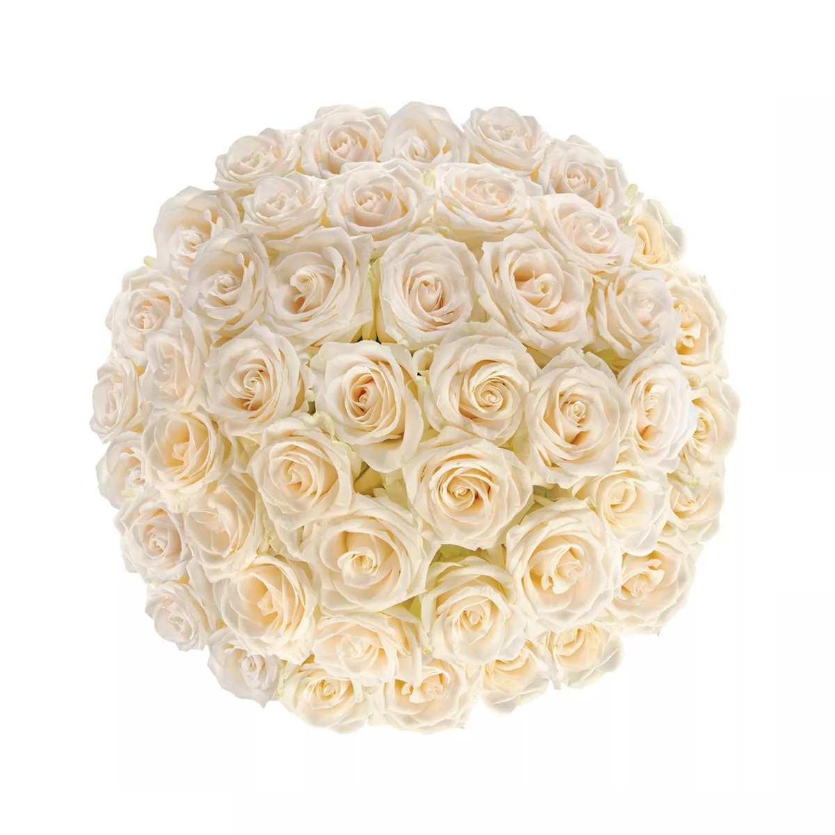 Long Stem Roses in Glass Vase