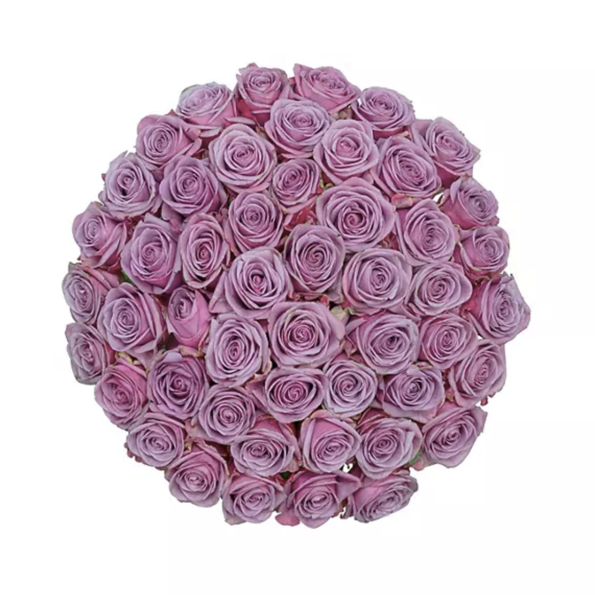 Signature Purple Roses & Orchid Arrangement