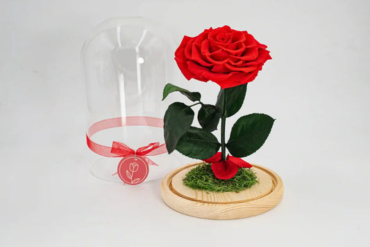 Maguee Signature Dome – Preserved Roses Under Glass