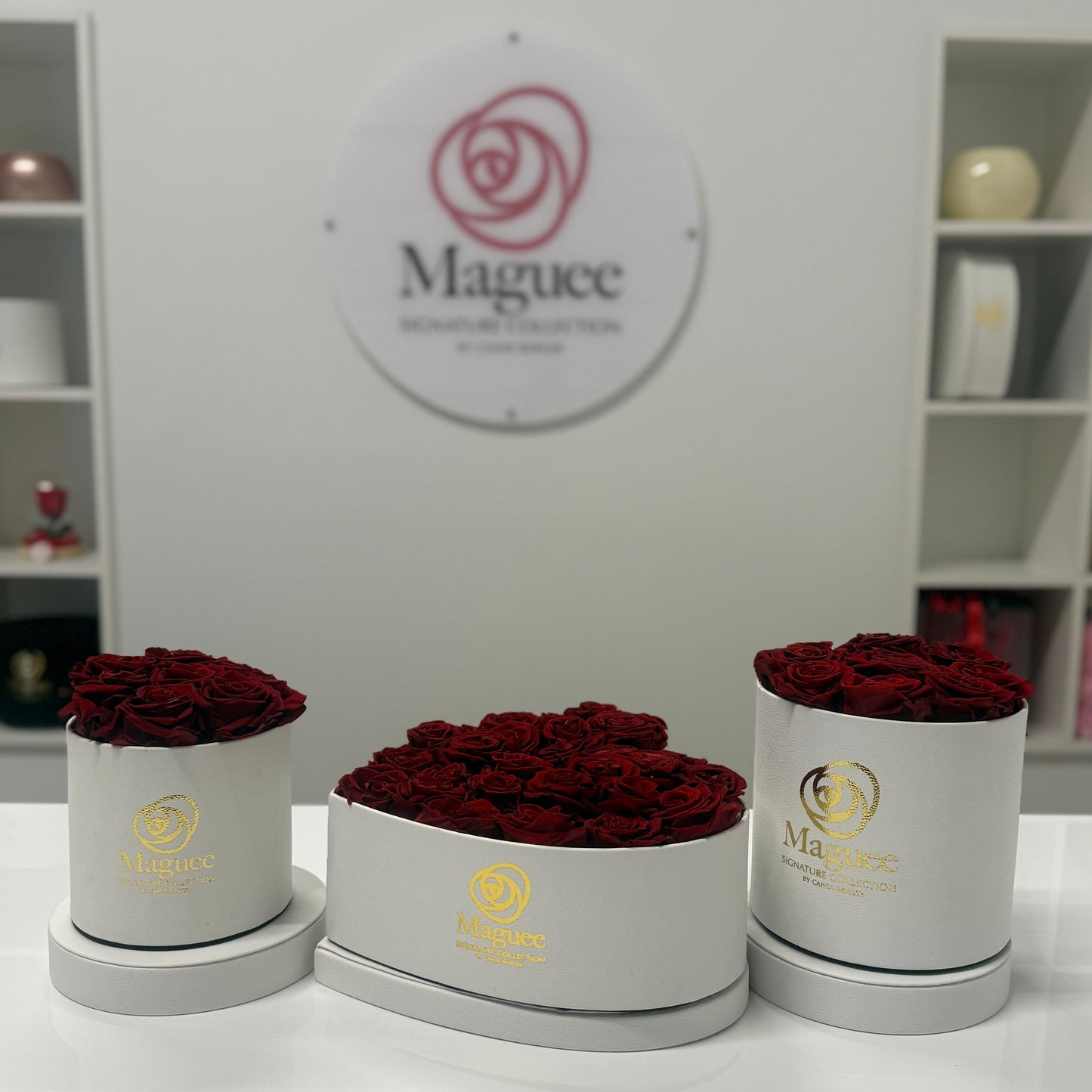 Preserved Luxury Box - Round