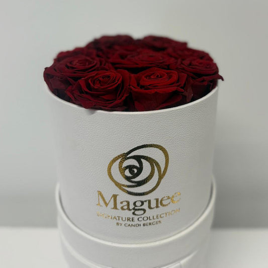 Preserved Luxury Box - Round