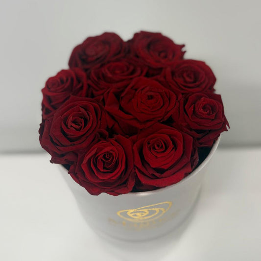 Preserved Luxury Box - Round