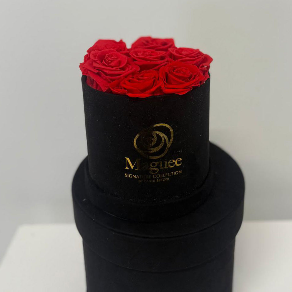 Preserved Luxury Box - Round