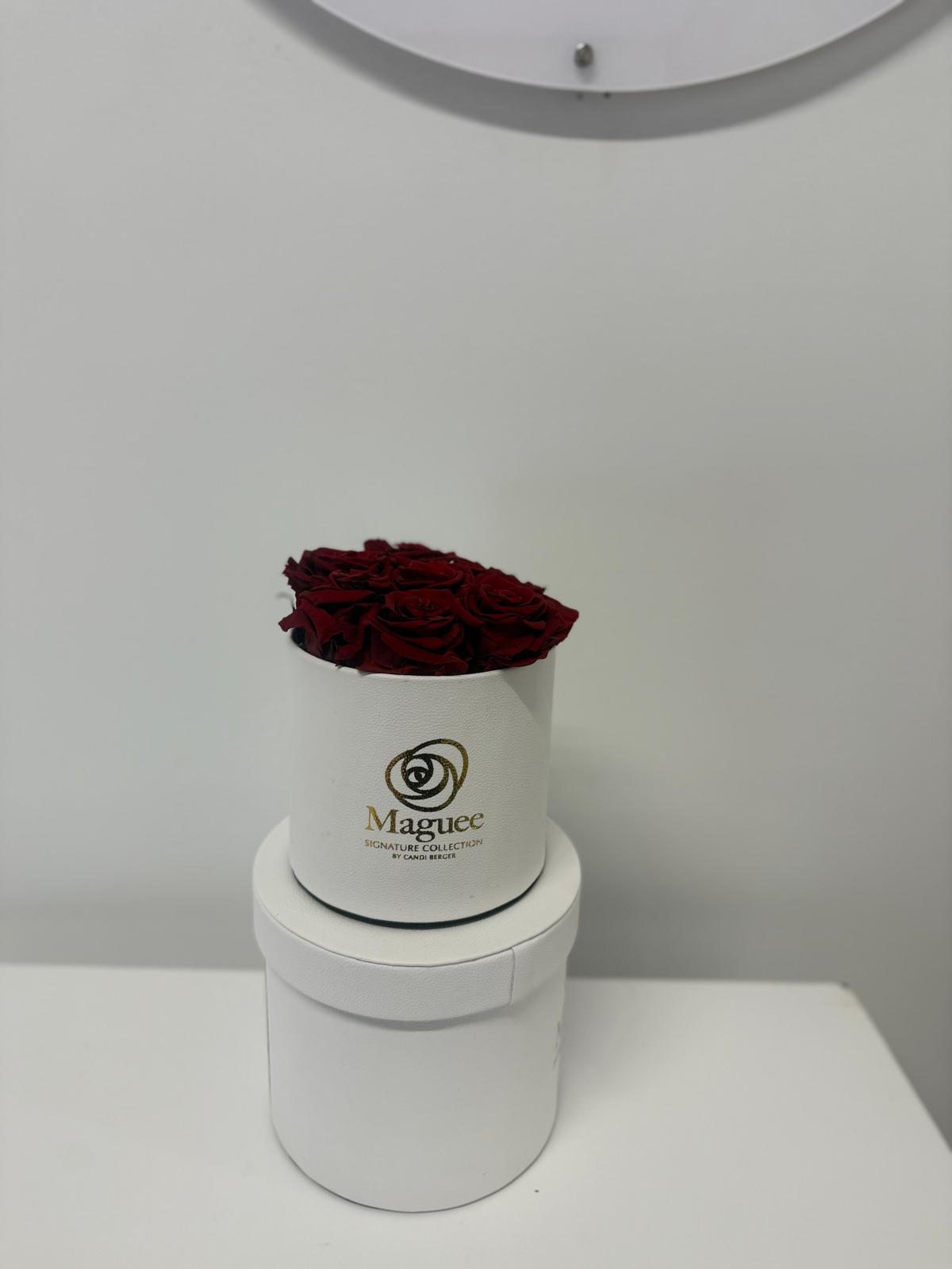 Preserved Luxury Box - Round