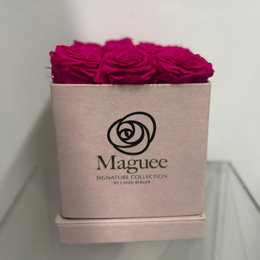 Preserved Luxury Box - Square