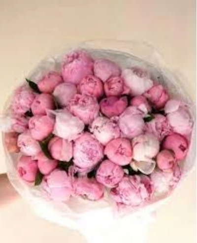 Peonies Collection – Pre-Order Only
