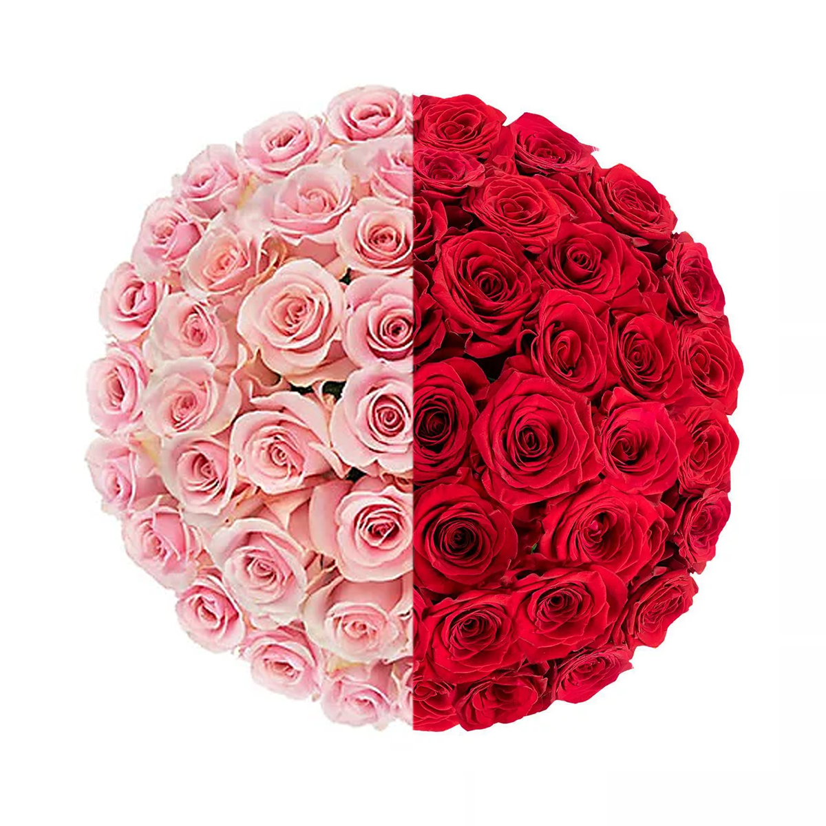 Signature Long Stem Duo-Tone Roses
