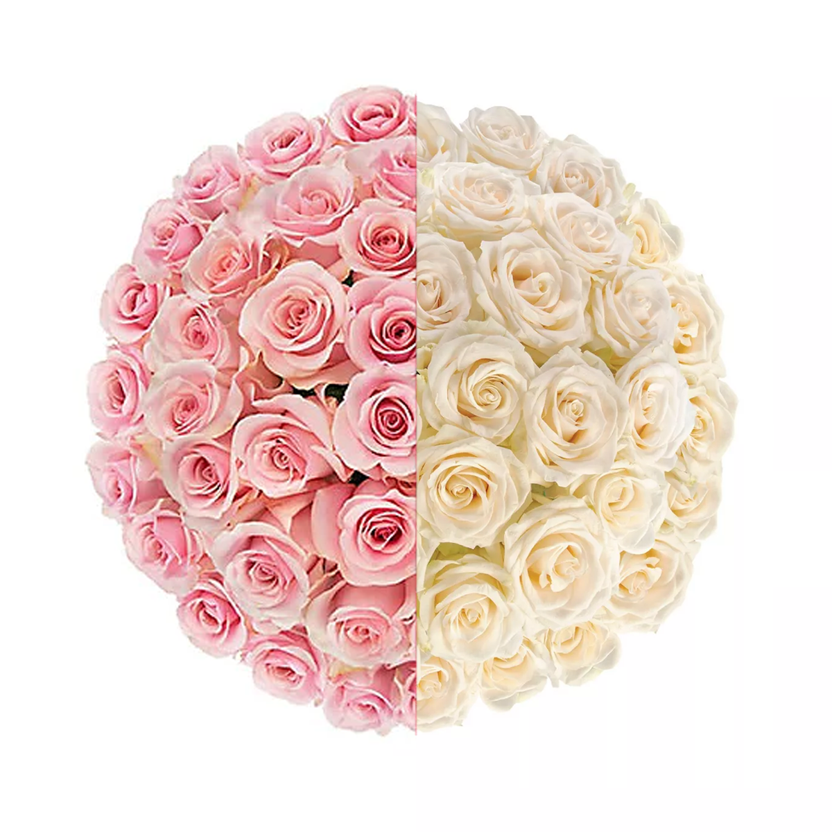 Signature Long Stem Duo-Tone Roses