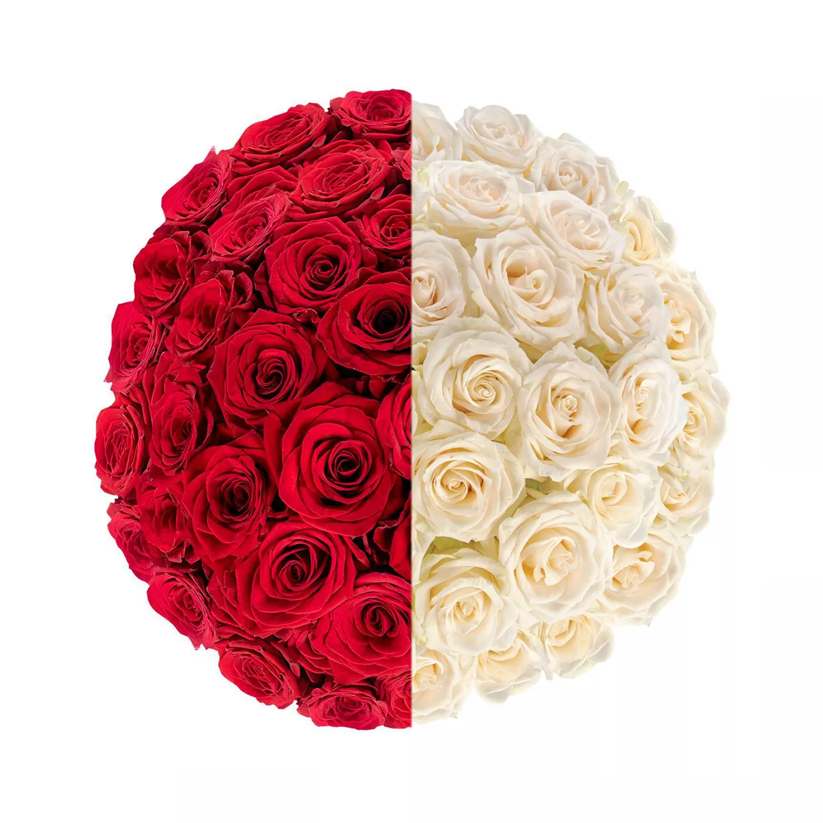 Duo-Tone Long Stem Rose Bouquet – Ramo Buchón