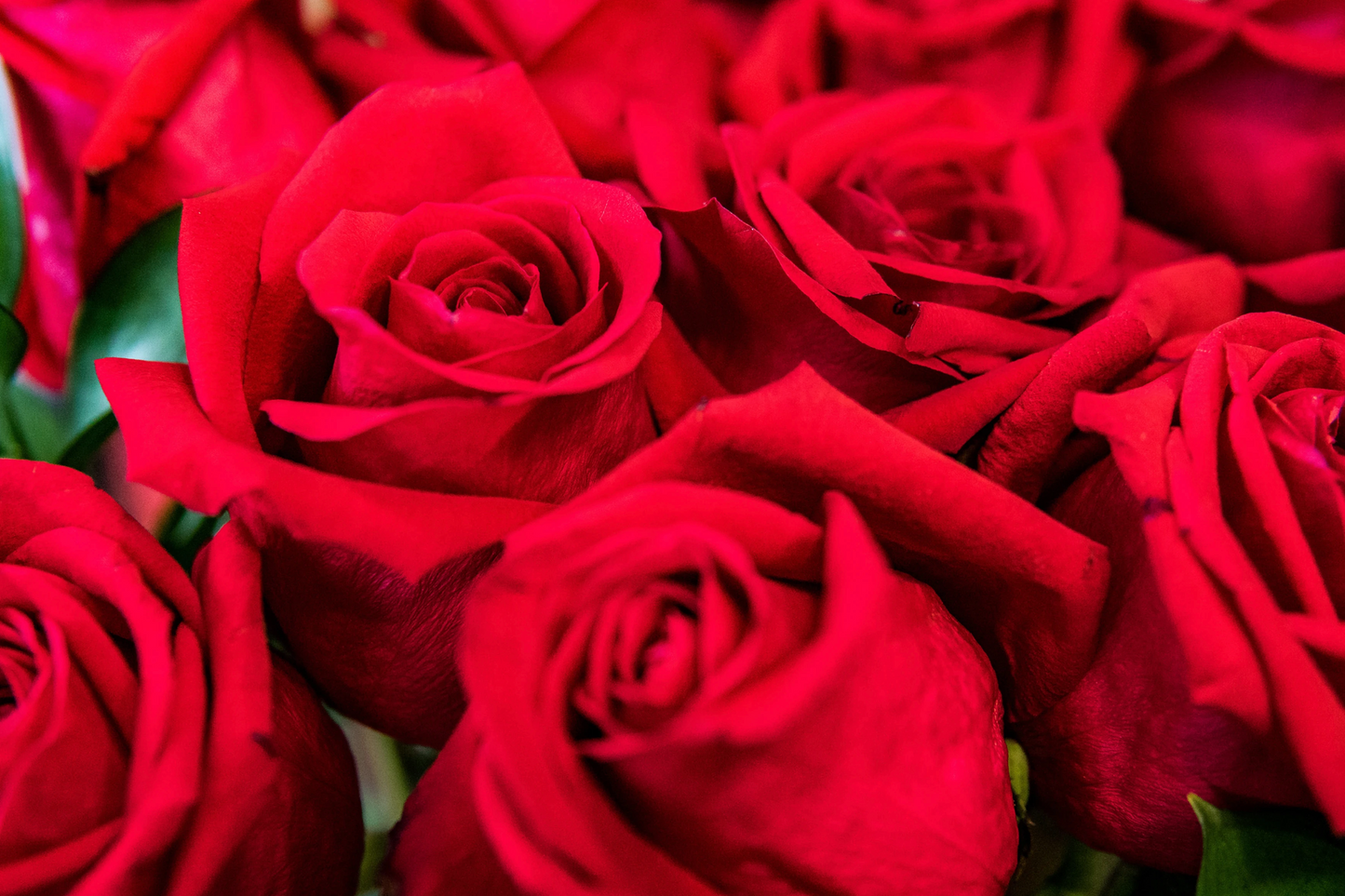Signature Rose Two-Tier Vase