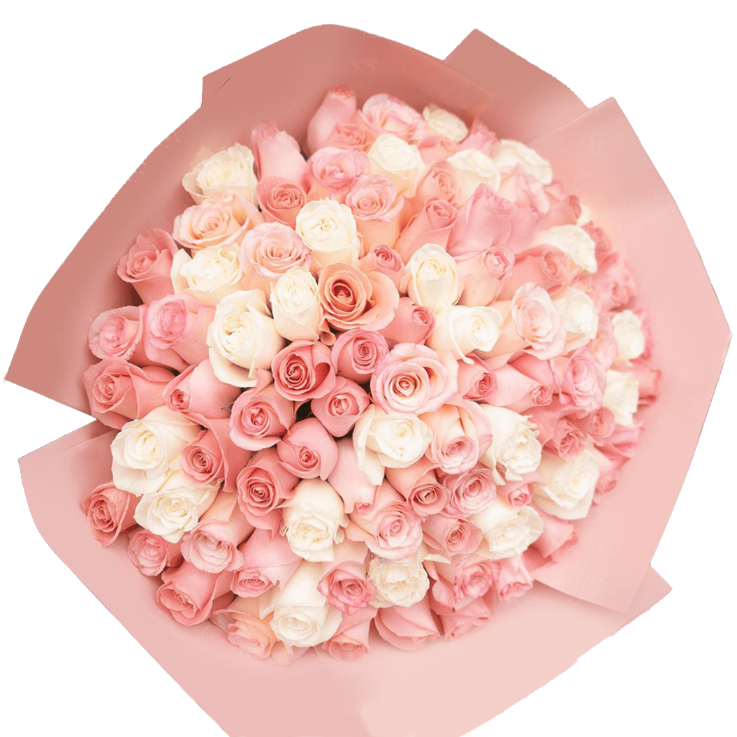 Signature Long Stem Duo-Tone Roses