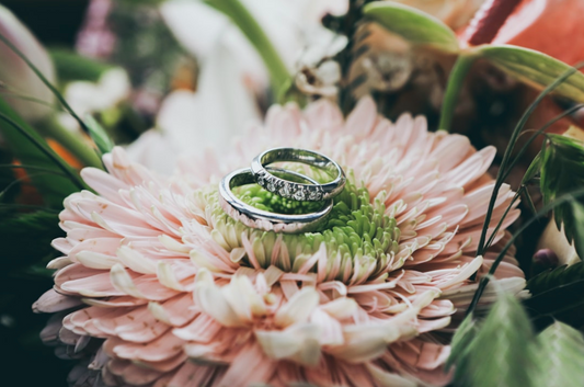 Flowers That Tell Stories: The Language of Blooms