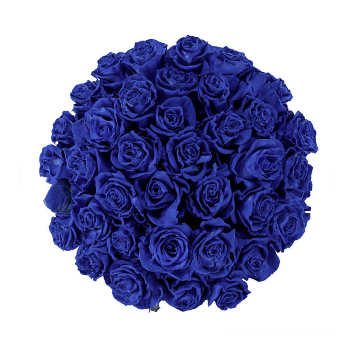 Luxury Long Stem Rose Bouquet – Ramo Buchón (Premium Hand-Tied Roses)