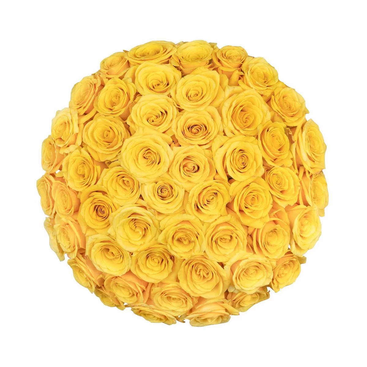 Luxury Long Stem Rose Bouquet – Ramo Buchón (Premium Hand-Tied Roses)