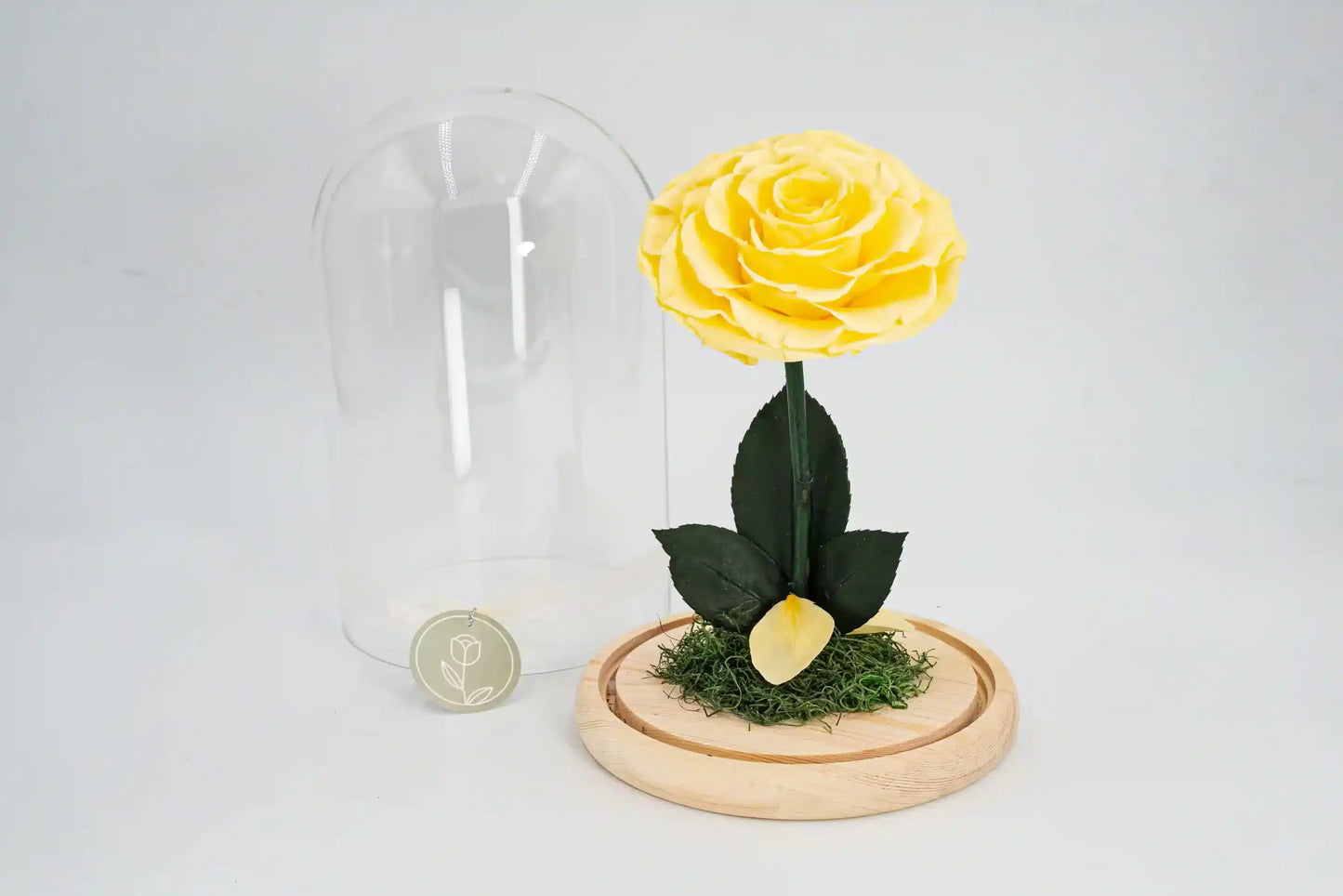 Maguee Signature Dome – Preserved Roses Under Glass