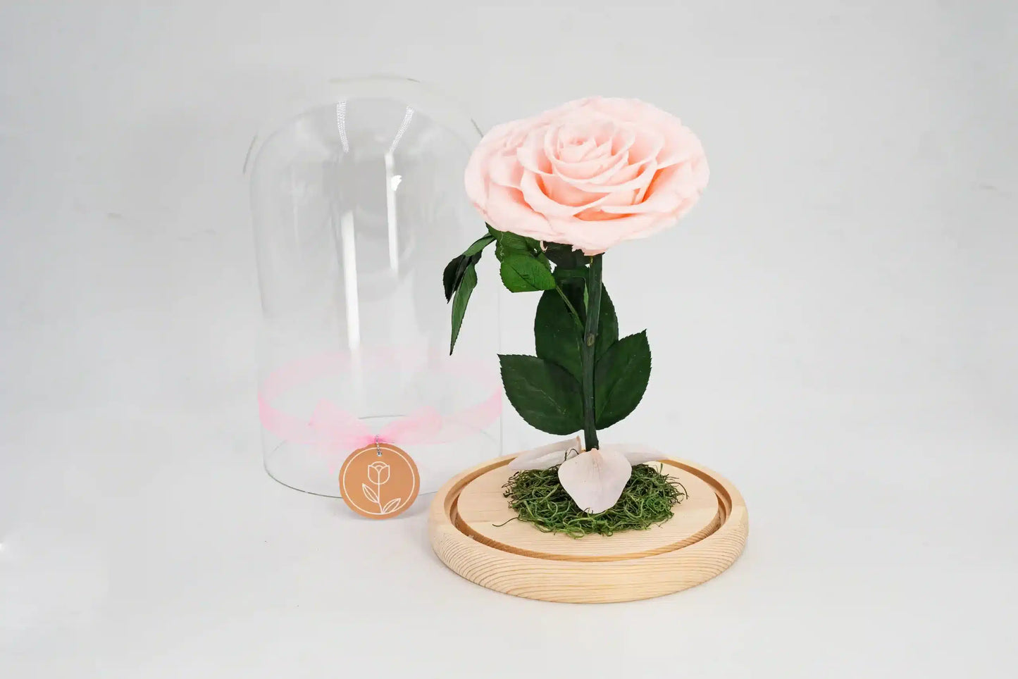 Maguee Signature Dome – Preserved Roses Under Glass