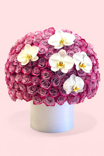 Signature Purple Roses & Orchid Arrangement