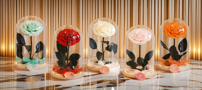 Maguee Signature Dome – Preserved Roses Under Glass