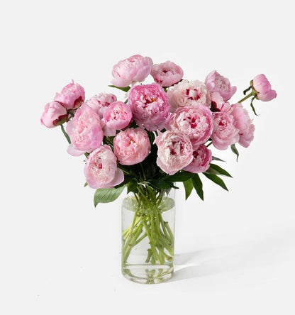 Long Stem Roses in Glass Vase