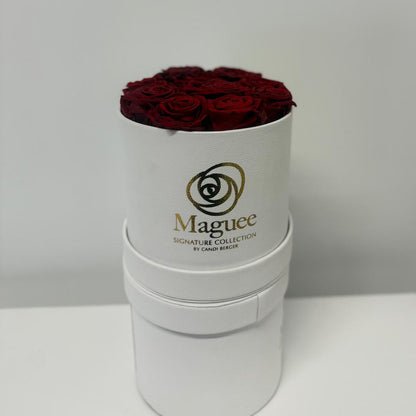 Preserved Luxury Box - Round