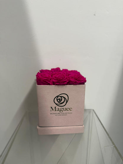 Preserved Luxury Box - Square