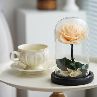 Maguee Signature Dome – Preserved Roses Under Glass