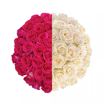 Signature Long Stem Duo-Tone Roses with Baby’s Breath