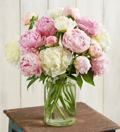 Peonies in Glass Vase – Pre-Order Only