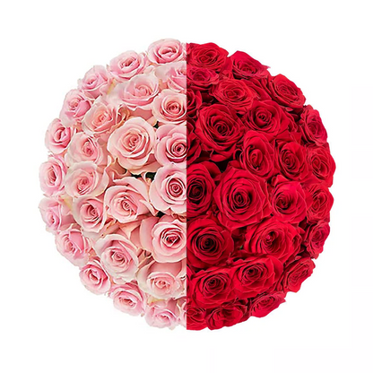 Signature Long Stem Duo-Tone Roses with Baby’s Breath