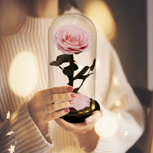 Maguee Signature Dome – Preserved Roses Under Glass