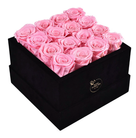 Preserved Luxury Box