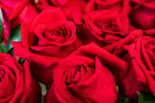 Signature Rose Two-Tier Vase